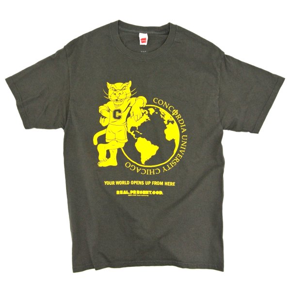 画像1: 【古着】CONCORDIA UNIVERSITY CHICAGO / カレッジ・スクール Tシャツ / ヘインズ (HANES) / #00252 (1)