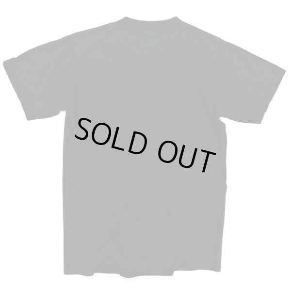 画像2: 【古着】Smithsonian National Zoological Park / アニマル・動物 Tシャツ / ギルダン (GILDAN) / #00263 (2)