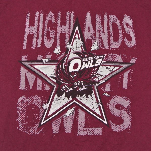画像7: 【古着】HIGHLANDS MIGHTY OWLS ハイスクール / スクール Tシャツ / ギルダン(GILDAN) / #00261 (7)