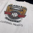 画像3: 【古着】Harley Davidson ハーレーダビッドソン / バイク Tシャツ / ユーロ (euro) / #00279 (3)