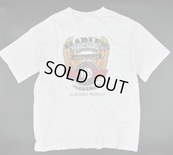 画像1: 【古着】Harley Davidson ハーレーダビッドソン / バイク Tシャツ / ユーロ (euro) / #00279 (1)
