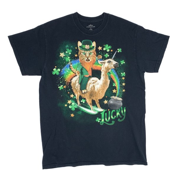画像1: 【古着】セントパトリックスデイ ST PATRICK'S DAY / デザイン Tシャツ / セレブレイト (celebrate) / #00284 (1)