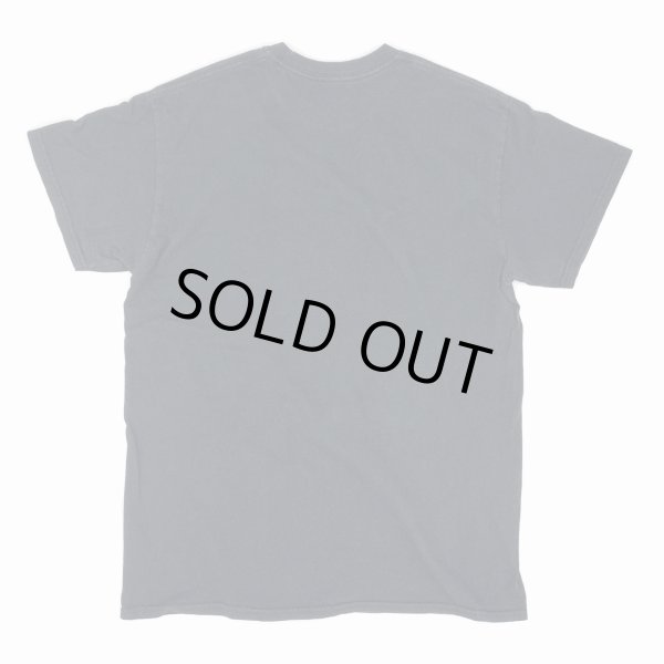 画像2: 【古着】セントパトリックスデイ ST PATRICK'S DAY / デザイン Tシャツ / セレブレイト (celebrate) / #00284 (2)