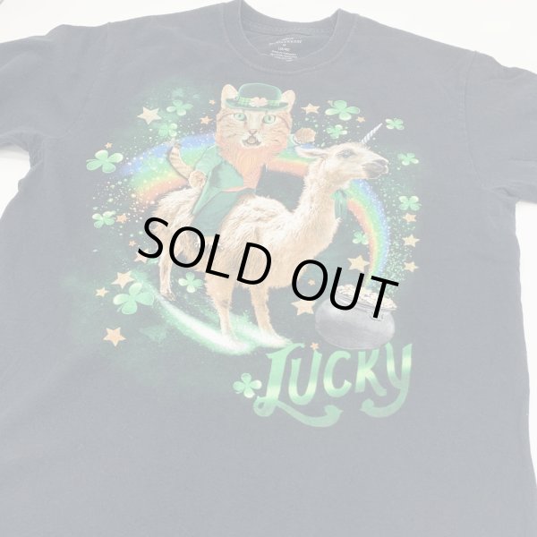 画像4: 【古着】セントパトリックスデイ ST PATRICK'S DAY / デザイン Tシャツ / セレブレイト (celebrate) / #00284 (4)