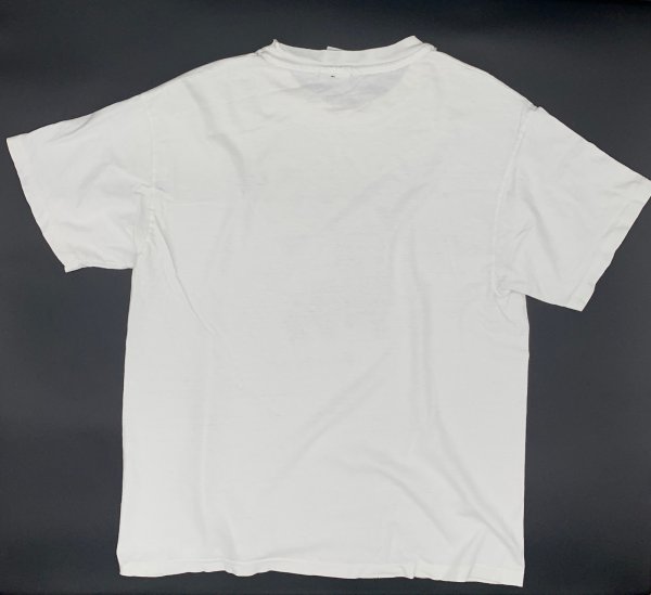 画像2: 【古着】Palm Beach フロリダ パームビーチ Tシャツ / デザイン Tシャツ / ヘインズ (Hanes) / #00297 (2)