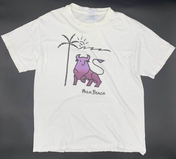 画像1: 【古着】Palm Beach フロリダ パームビーチ Tシャツ / デザイン Tシャツ / ヘインズ (Hanes) / #00297 (1)