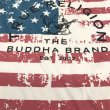 画像3: 【古着】THE BUDDHA BRAND Tシャツ / TRUE RELIGION / #00306 (3)