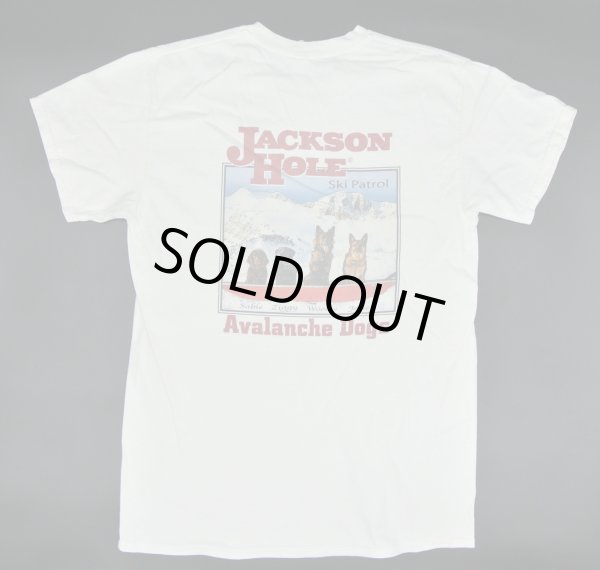 画像1: 【古着】Jackson Hole Avalanche Dogs Tシャツ / ギルダン (GILDAN) / #00308 (1)