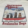 画像3: 【古着】Jackson Hole Avalanche Dogs Tシャツ / ギルダン (GILDAN) / #00308 (3)