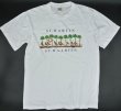 画像1: 【古着】ST.MARTIN セントマーチン島 カリブ海 Tシャツ / CARIBEAN T'S / #00307 (1)