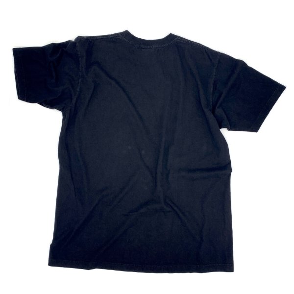 画像2: 【古着】WATERTON CANADA ウォータートン カナダ / アニマル・動物 Tシャツ / CITYSCAPE / #00312 (2)