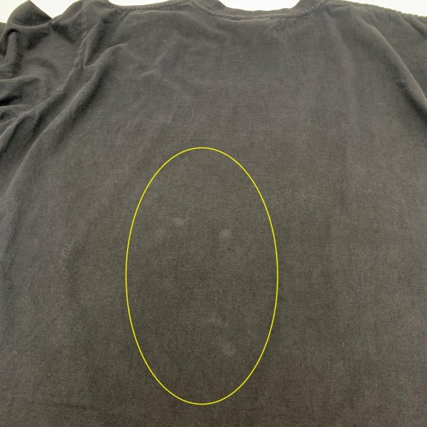 画像9: 【古着】WATERTON CANADA ウォータートン カナダ / アニマル・動物 Tシャツ / CITYSCAPE / #00312 (9)