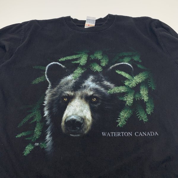 画像3: 【古着】WATERTON CANADA ウォータートン カナダ / アニマル・動物 Tシャツ / CITYSCAPE / #00312 (3)