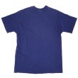 画像2: 【古着】Tempe ARIZONA テンピ アリゾナ州 Tシャツ / ヘインズ (Hanes) / #00343 (2)