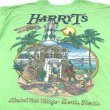 画像3: 【古着】HARRY T'S フロリダ Tシャツ / ヘインズ Hanes / #00369 (3)