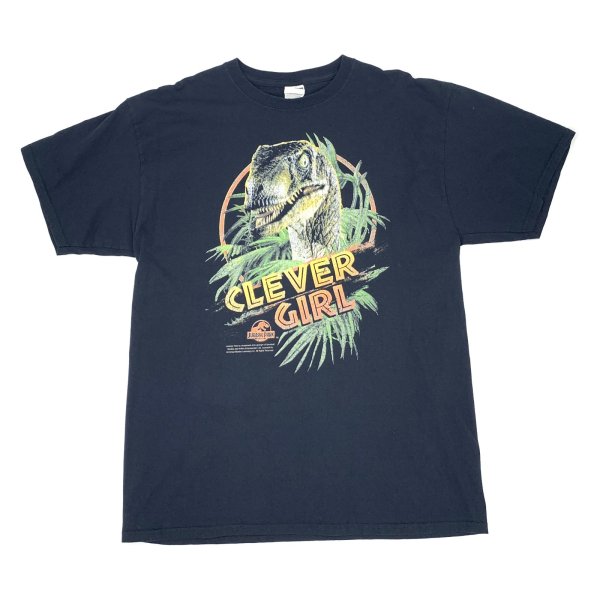画像1: 【古着】Jurassic Park ジュラシックパーク Tシャツ / ジャージーズ JERZEES / #00370 (1)