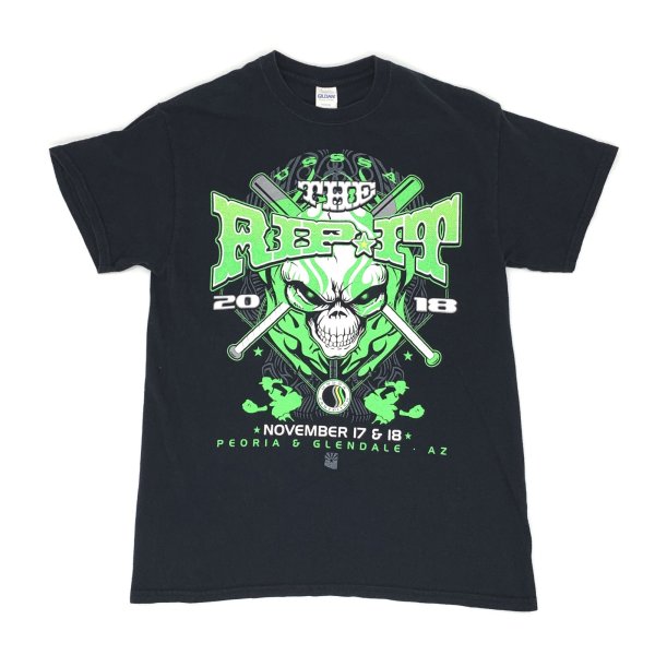 画像1: 【古着】USSSA THE RIP IT 2018 Tシャツ / GILDAN ギルダン / #00388 (1)