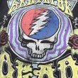 画像3: 【古着】GREATFUL DEAD グレイトフルデッド Tシャツ / #00441 (3)