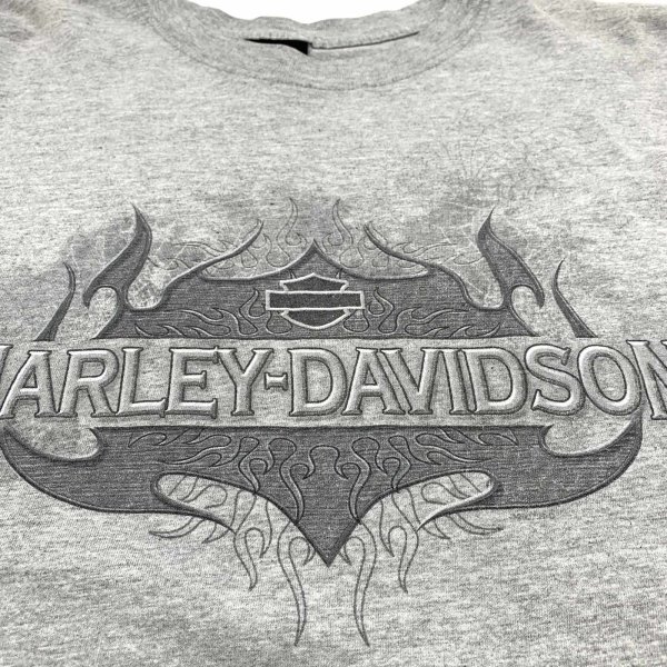 画像2: 【古着】 Harley Davidson ハーレーダビッドソン ビッグサイズ Tシャツ / #00480 (2)