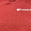 画像3: 【古着】 COSTA コスタ Tシャツ / #00484 (3)