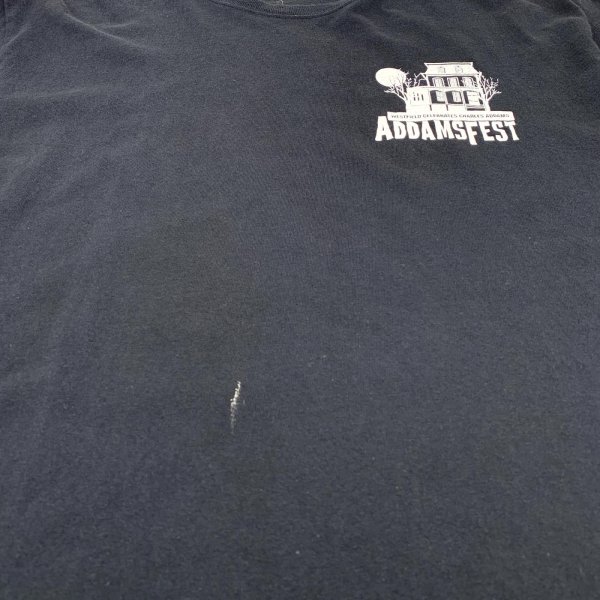 画像3: 【古着】 ADAMSFEST Tシャツ / #00499 (3)